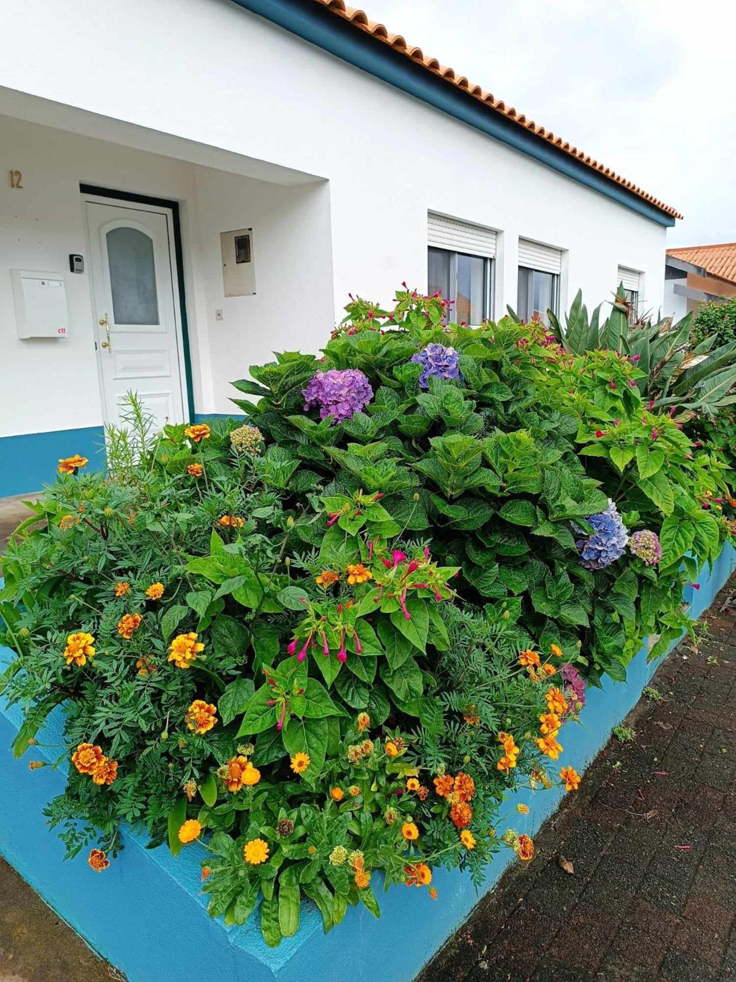 Apartamento Da Matilde Santa Cruz das Flores Bagian luar foto
